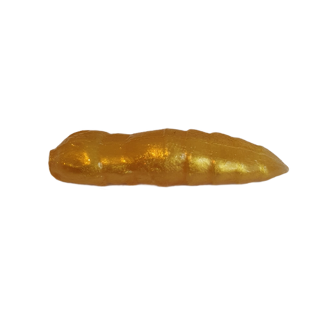 Grupy Gold